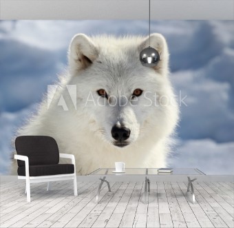 Picture of Portrait du loup arctique